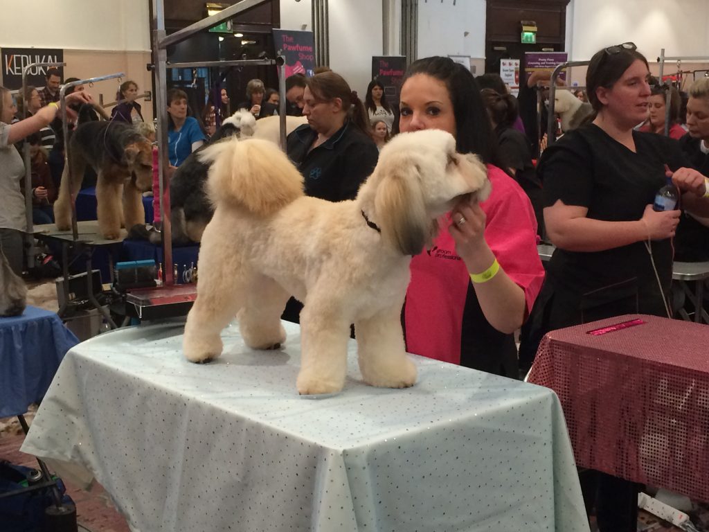 Grooming pic 2